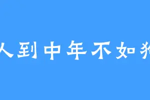 人到中年不如狗