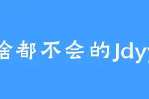 啥都不会的Jdyy