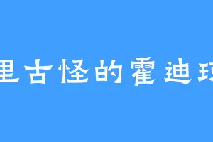 古里古怪的霍迪琼斯