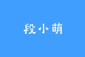 段小萌