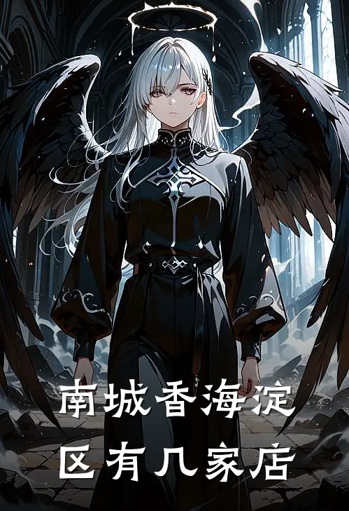 南城香海淀区有几家店