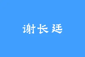 谢长廷