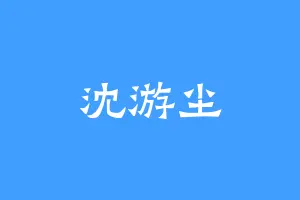 沈游尘