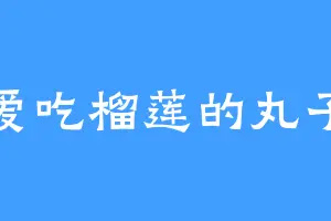 爱吃榴莲的丸子