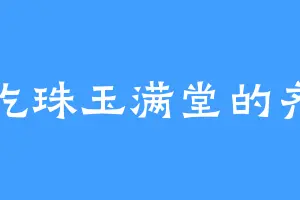 爱吃珠玉满堂的齐总