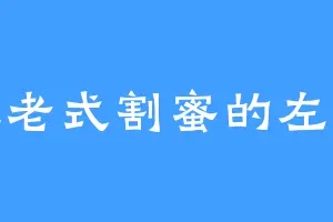 爱吃老式割蜜的左月娥